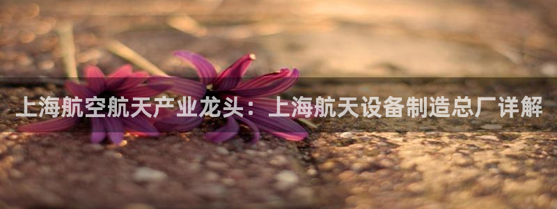 彩神新微聊：上海航空航天产业龙头：上海航天设备制造总厂详解