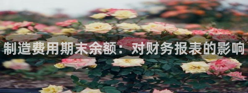 彩神官方登录：制造费用期末余额：对财务报表的影响