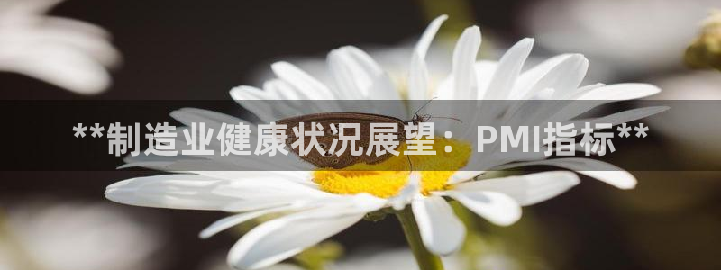 彩神v8手机客户端怎么下载：**制造业健康状况展望：PMI指