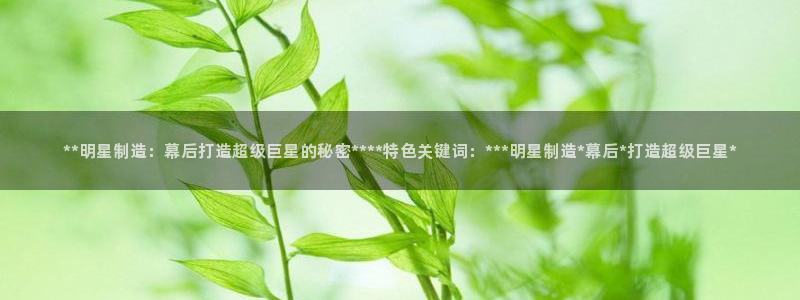 彩神旗下有哪些平台可以玩：**明星制造：幕后打造超级巨星的秘密****特色关键词：***明星制造*幕后*打造超