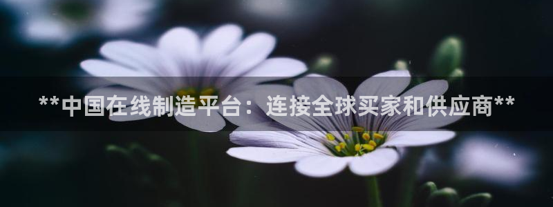 彩神v争霸有限公司：**中国在线制造平台：连接全球买家和供应