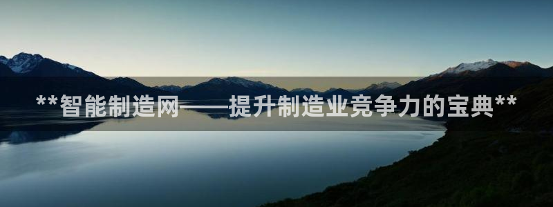 彩神iv争霸购彩大厅：**智能制造网——提升制造业竞争力的宝典**