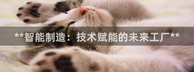 彩神vip购彩
