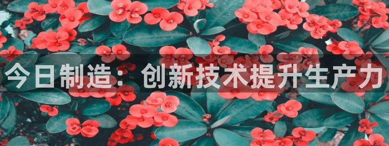 彩神是正规平台吗知乎