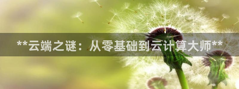 彩神官方登录：**云端之谜：从零基础到云计算大师**