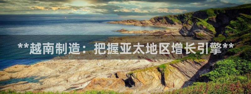 彩神vll首页环球：**越南制造：把握亚太地区增长引擎**
