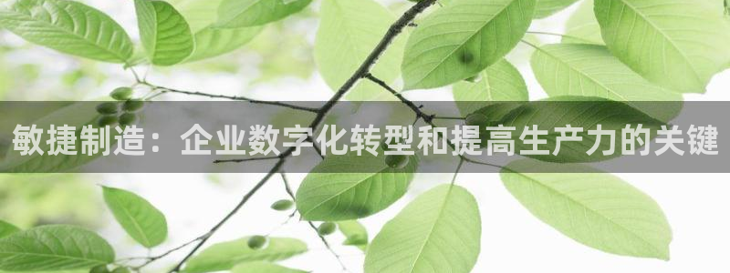 彩神vⅲ下载安装：敏捷制造：企业数字化转型和提高生产力的关键