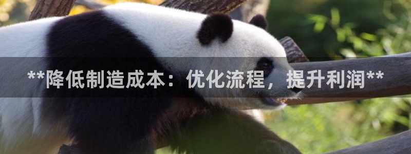 彩神官方网站登录是多少：**降低制造成本：优化流程，提升利润**