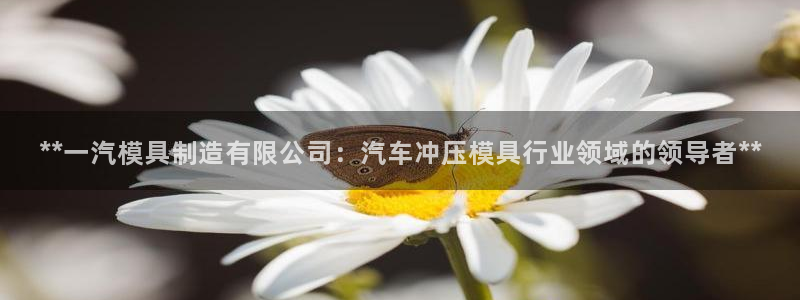 彩神vi争霸官网