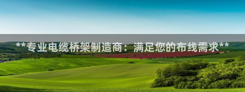 彩神广告有限公司