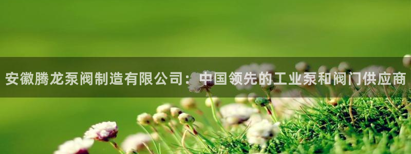 彩神8app官方下载