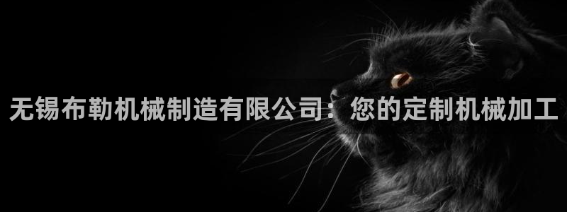 彩神是正规平台吗知乎：无锡布勒机械制造有限公司：您的定制机械