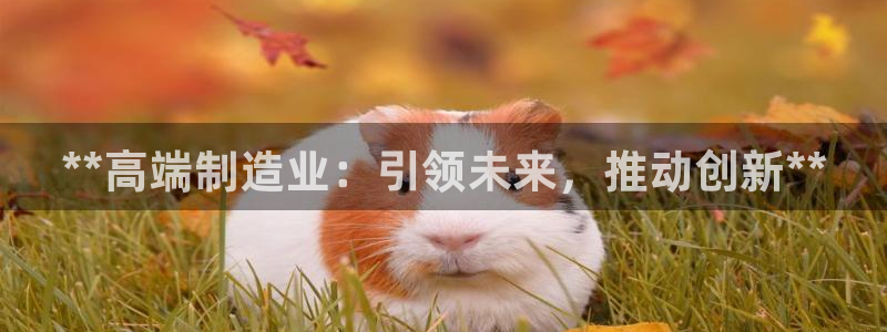 彩神v秘聊号码