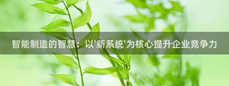 彩神官方登录：智能制造的智慧：以\'新系统\'为核心提升企业竞争力