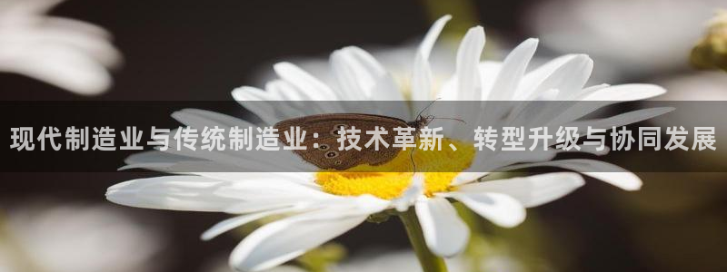 彩神iv是正规平台吗?：现代制造业与传统制造业：技术革新、转
