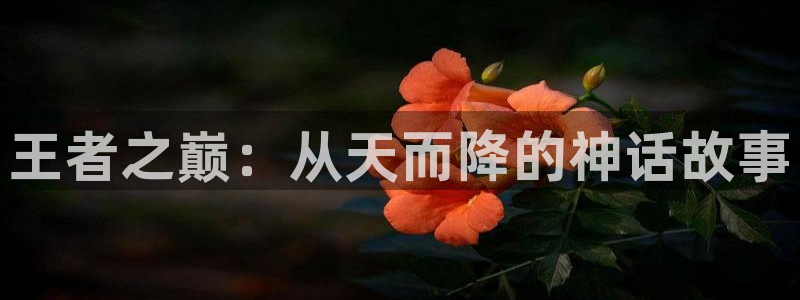 彩神v平台