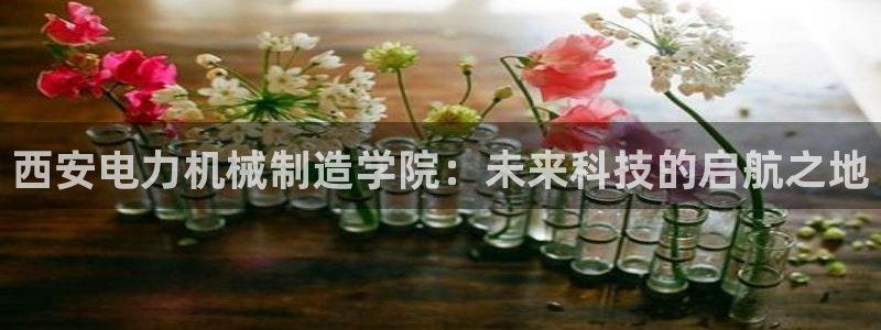 彩神v违法么：西安电力机械制造学院：未来科技的启航之地