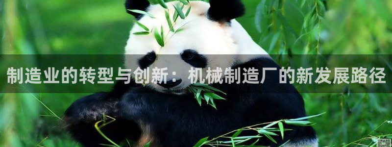 彩神赢钱了吗是真的吗：制造业的转型与创新：机械制造厂的新发展